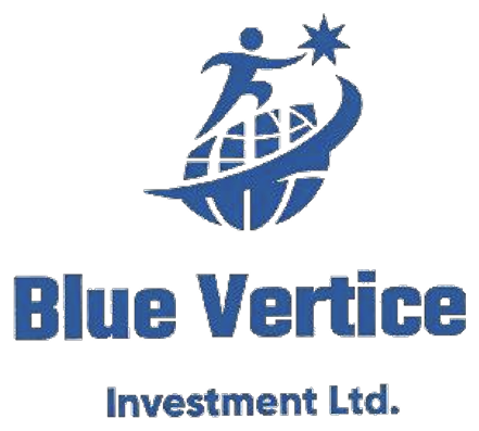 Blue Vertice Investment Ltd.